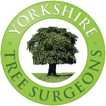 Yorkshire Tree Surgeons Logo