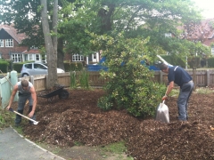 planting trees and mulching